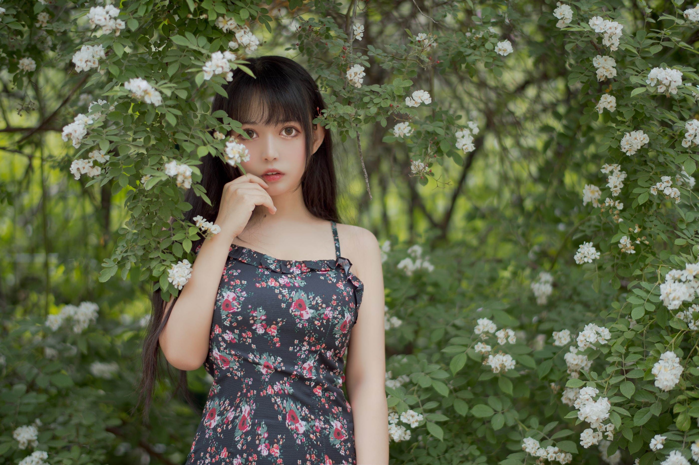 图片[1]-黑猫猫 – NO.021 蔷薇1 [22P]-XikXak